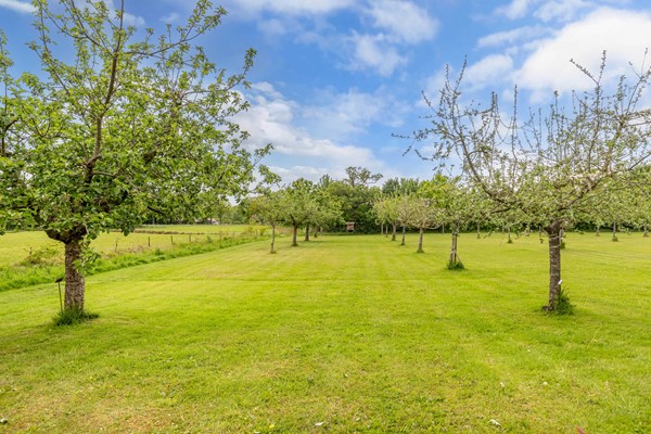 Medium property photo - Oosterpaasloërweg 2, 8378 JC Paasloo